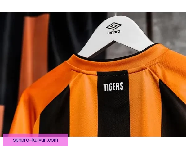 赫尔城全新球衣发布，展现团队精神状态回暖，备受关注